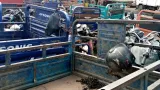 greve des conducteurs de tricycles linquietude des commercantes du vivrier de yopougon